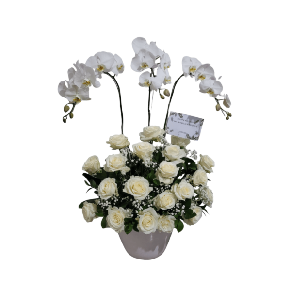 Florary Meja Florary